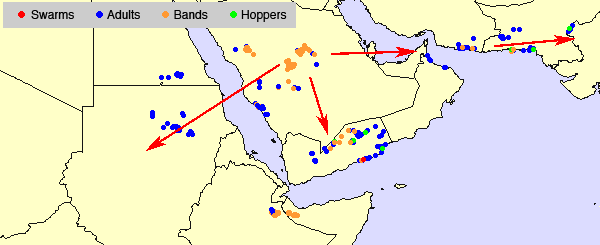 20 June. Aerial operations being organized in Yemen