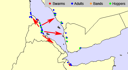 2 March. Hatching & band formation on the Sudanese coast