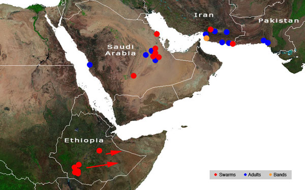 2 April. Locust swarms persist in S Ethiopia and breeding underway in SE Iran