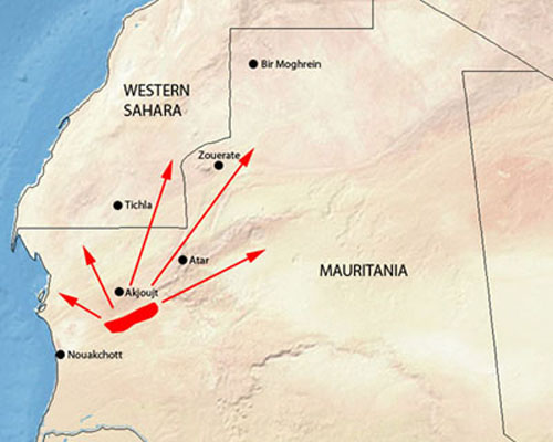 10 décembre. La situation relative au Criquet pèlerin devient sérieuse dans le nord-ouest de la Mauritanie