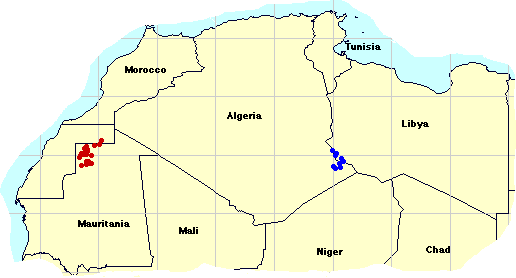 4 avril. Bandes larvaires dans le nord de la Mauritanie