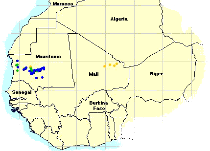 9 November. Hopper bands in Mauritania and northern Mali