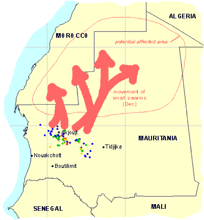 6 décembre. Opérations de lutte contre des bandes larvaires et des essaims en Mauritanie