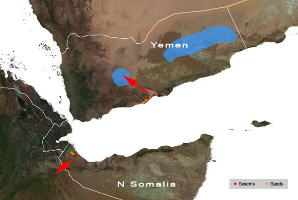 9 April. Desert Locust swarms form in Yemen and N Somalia