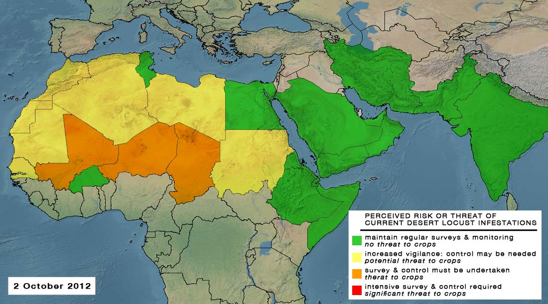 2 October. Desert Locust threat expands in the Sahel