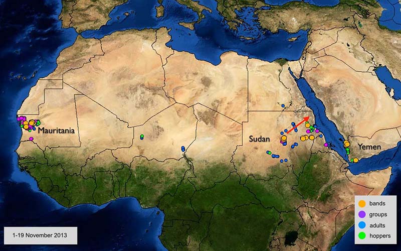 19 November. Potentially dangerous situation may develop in Mauritania, Sudan and Yemen