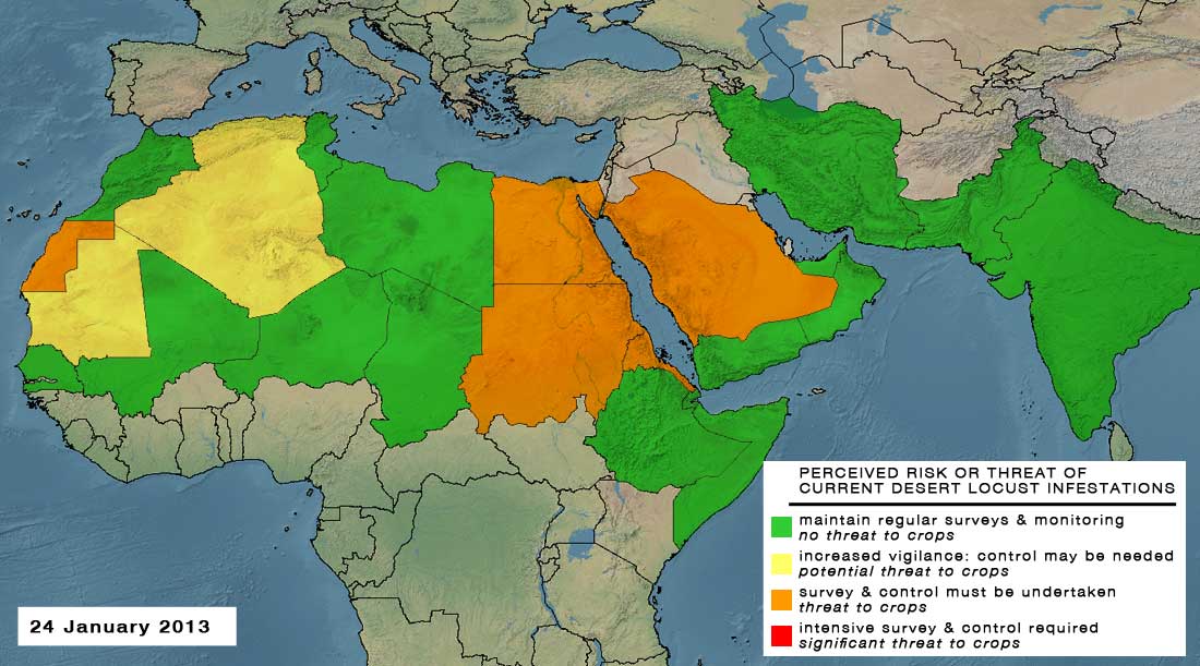 24 January. Desert Locust threat continues along Red Sea coast and declines in West Africa