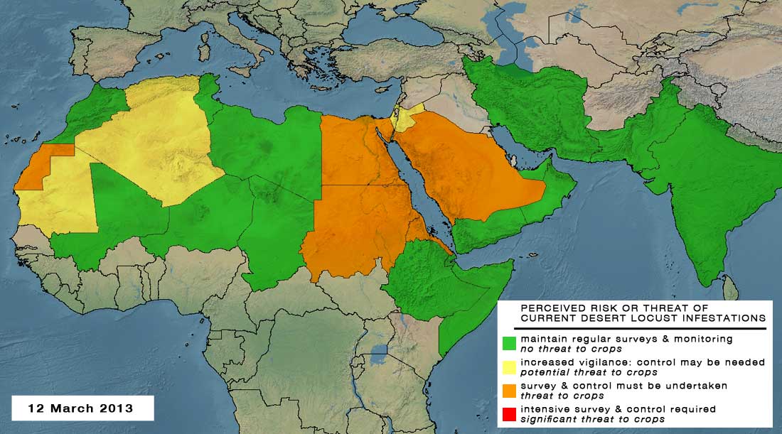 12 March. Desert Locust threat expands in the Central Region