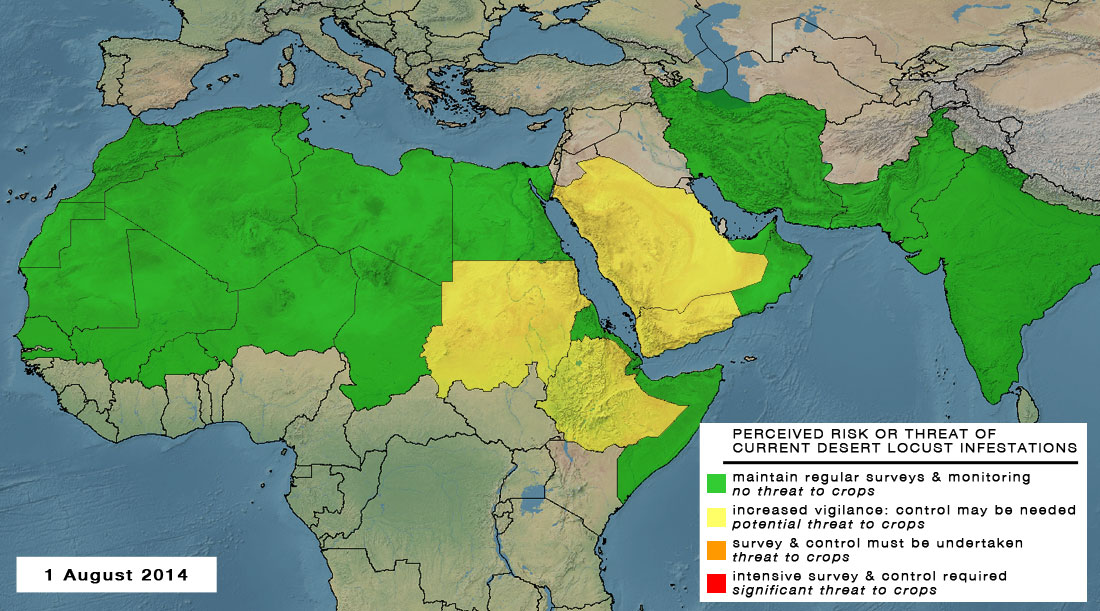 1 August. Locust threat declines in the Central Region