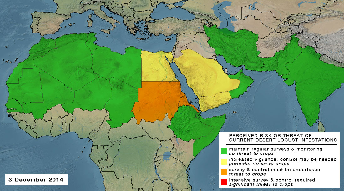 3 December. Desert Locust threat in Sudan and Eritrea