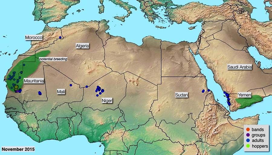 4 décembre. Développement d’une résurgence dans l’ouest de la Mauritanie