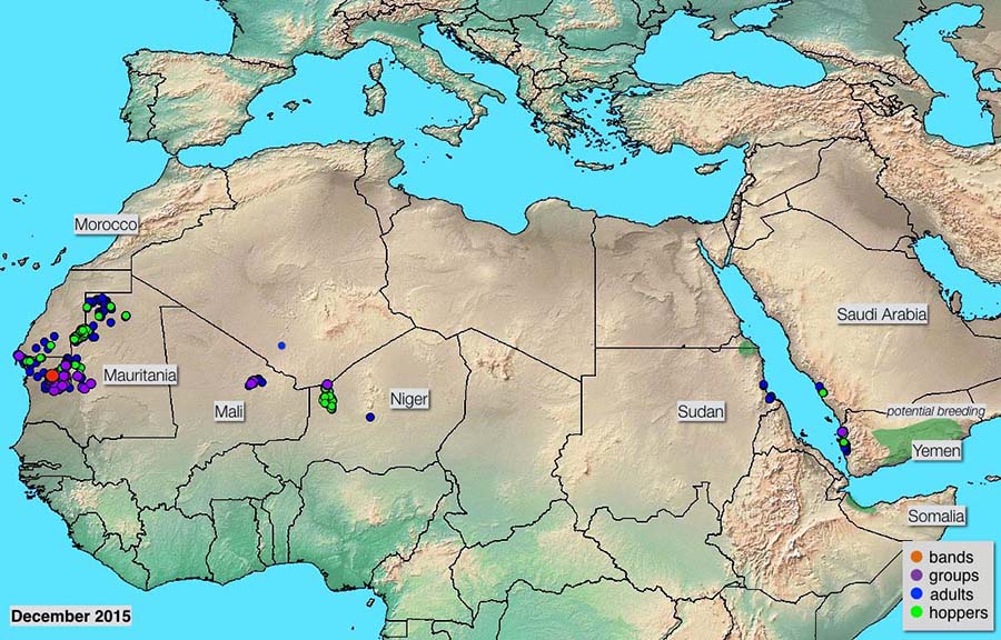 4 janvier. Déclin des opérations de lutte en Mauritanie