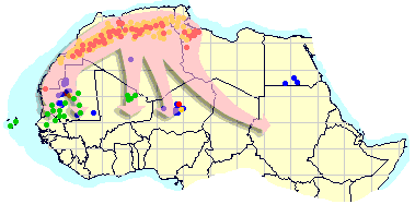 9 juillet. Davantage d’essaims envahissent la Mauritanie et arrivent dans les îles du Cap-vert