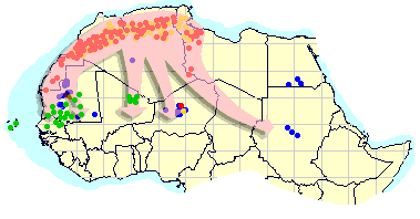 21 juillet. Les essaims continuent à envahir le Sahel à partir de l’Afrique du nord-ouest.