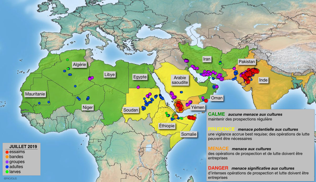 2 août. La plus grande menace reste au Yémen et dans les zones indo-pakistanaise