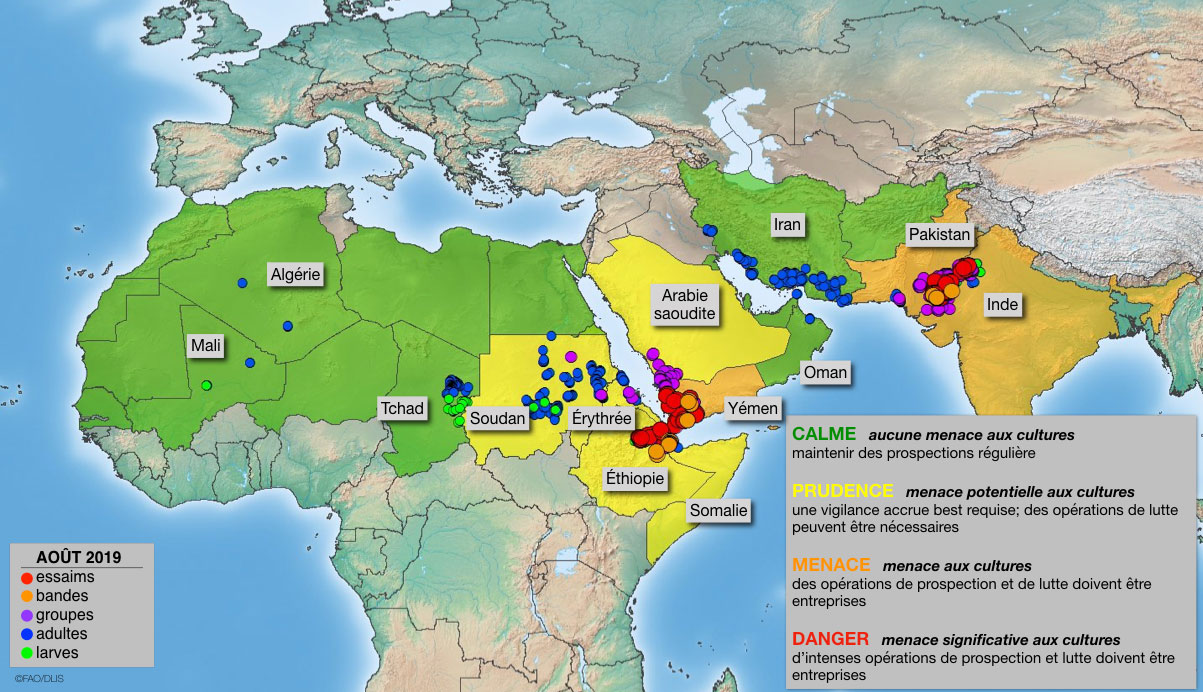 13 septembre. La menace continue au Yémen et dans la zone indo-pakistanaise
