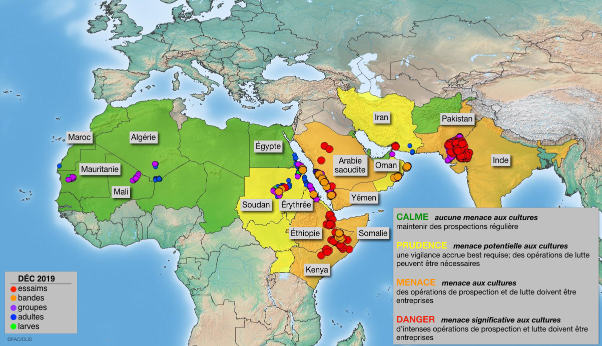 6 janvier. Extension du niveau de menace dans la Corne de l’Afrique