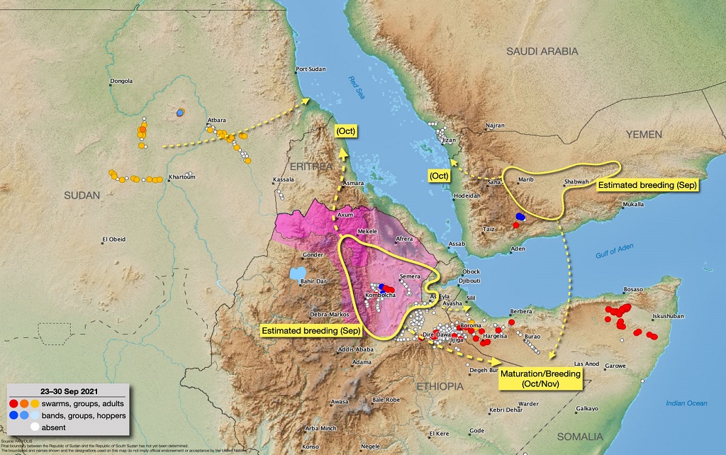 1 octobre 2021. De nouveaux essaims se forment dans le nord-est de l&#039;Éthiopie