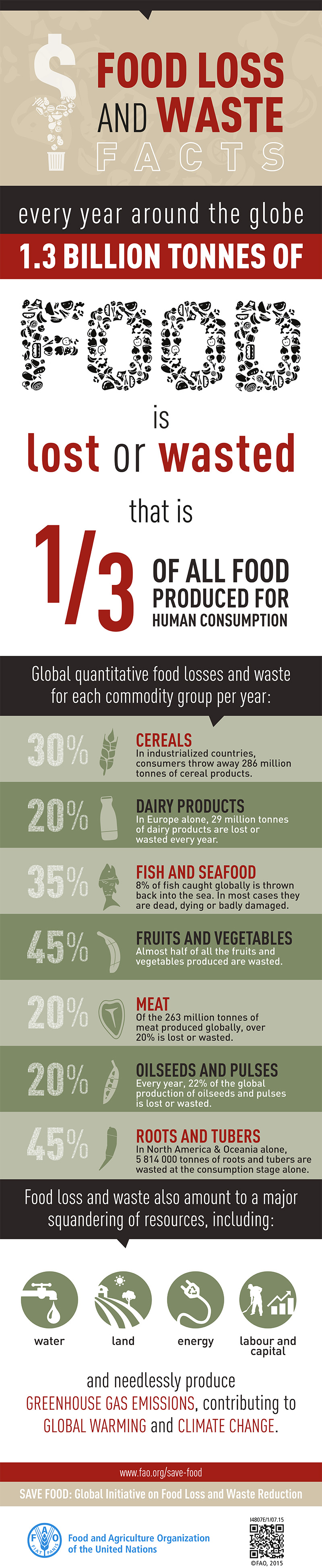 FAO Infographic FoodWaste en - Niemand is perfect, ook groenten niet! Check kromkommer...