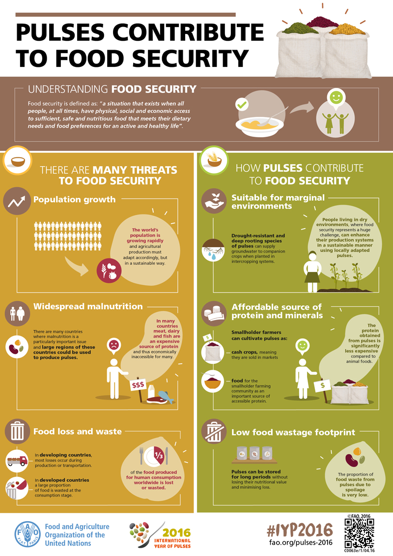 Pulses and food security