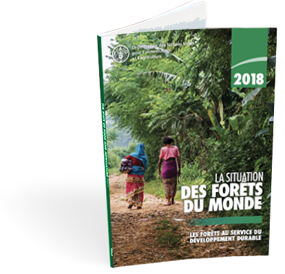 La situation des forêts du monde 2018