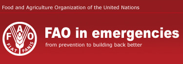 FAO in emergencies