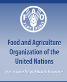 http://www.fao.org/fileadmin/templates/foodclimate/images/faologo_en.jpg height=169