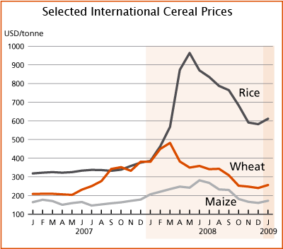 Cotações de grãos no mercado internacional