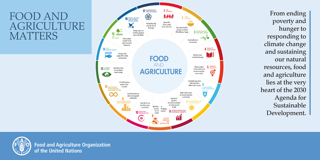 Da Silva Food And Agriculture Organization Of The United Nations