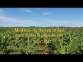 Medidas de Bioseguridad contra FOC R4T 1 (MAG Costa Rica)