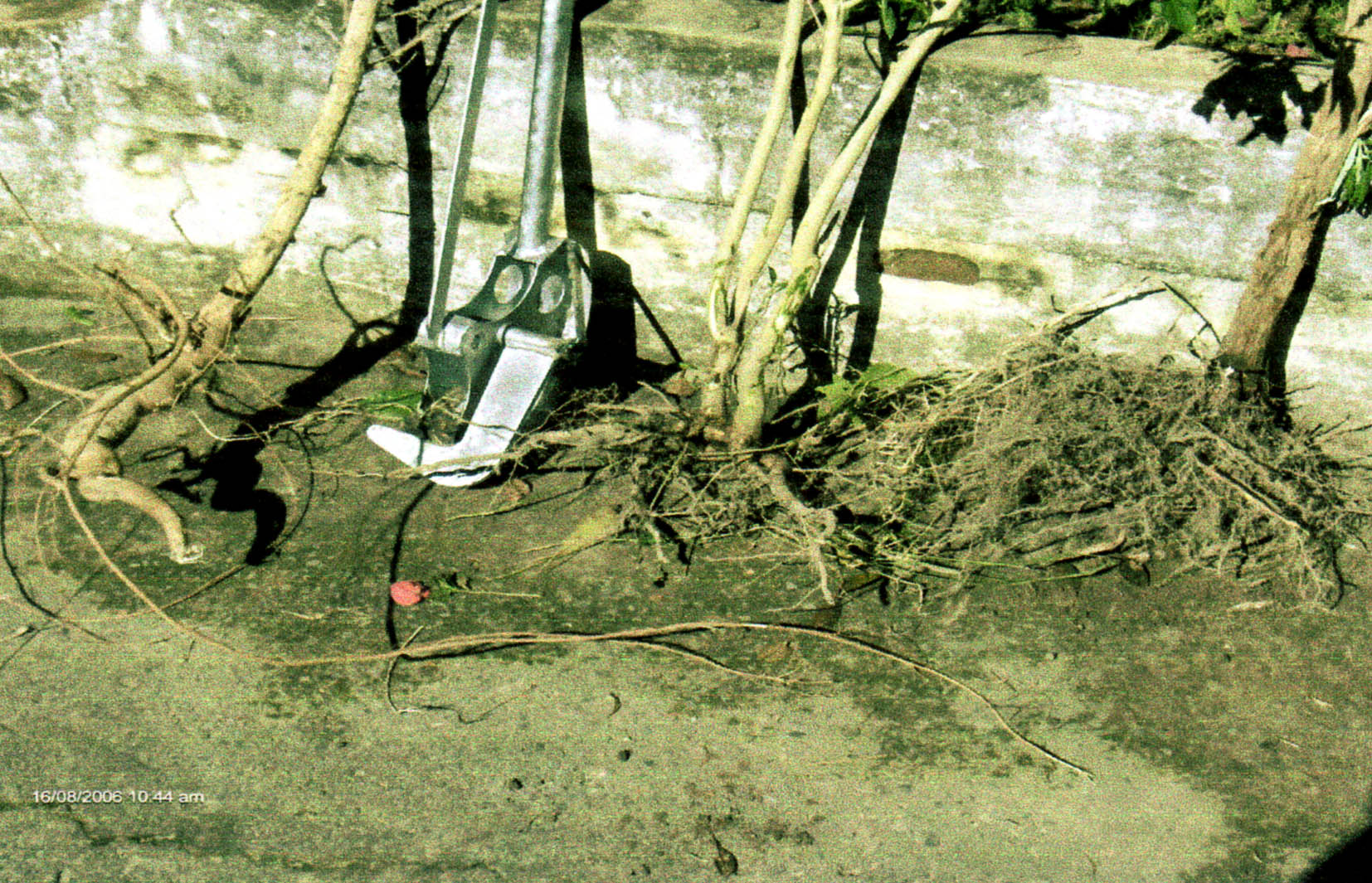 Stalk puller