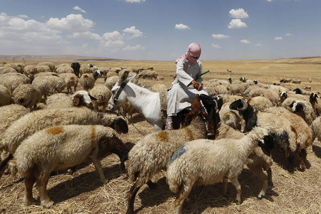 Image result for kurdish farmers pic