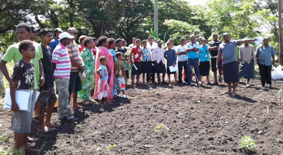 Farmer communities empowered through FFS to survive Fiji's pattern of drought