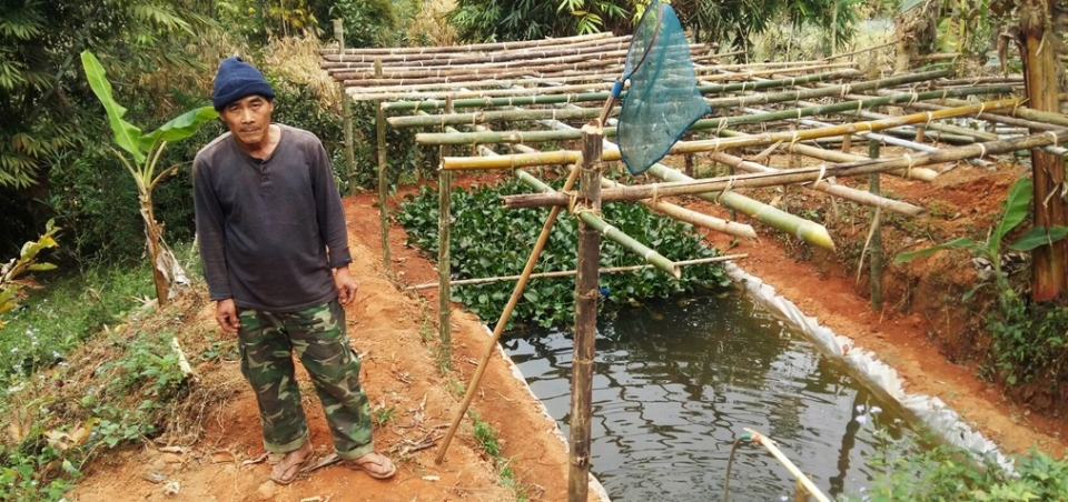 Strengthening integrated aquatic plant and animal farming in the rice fields of Lao PDR