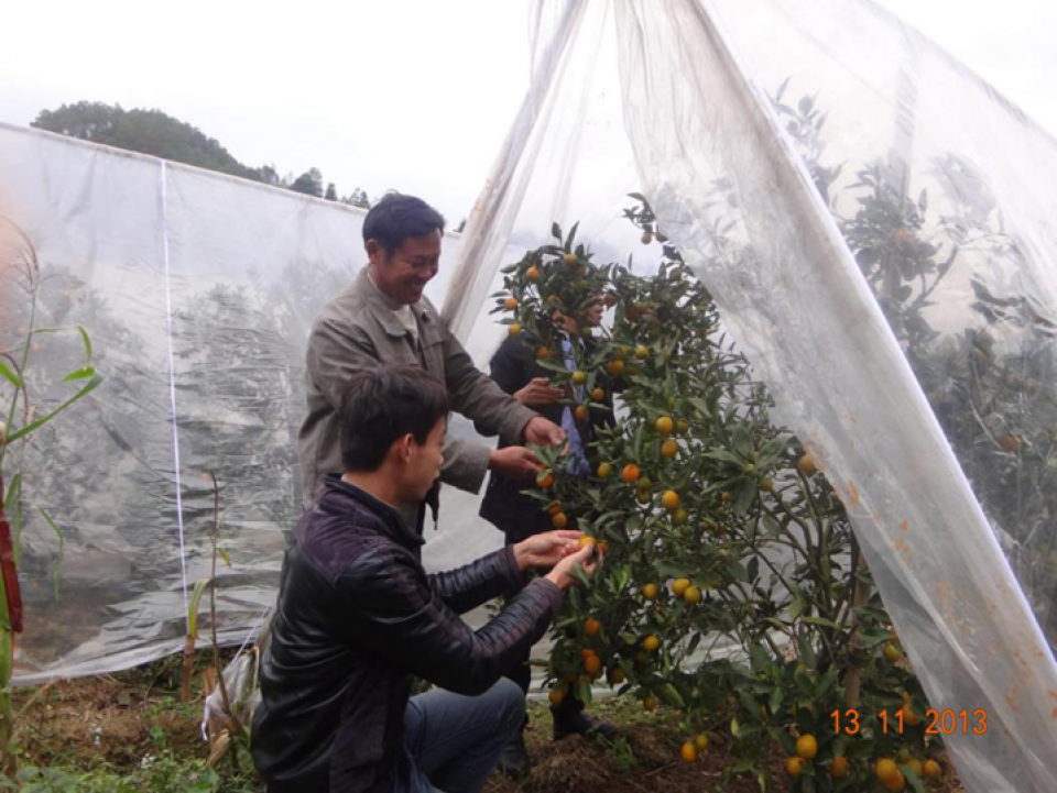 Farmer Field Schools as a successful approach to poverty reduction in Guangxi, China.