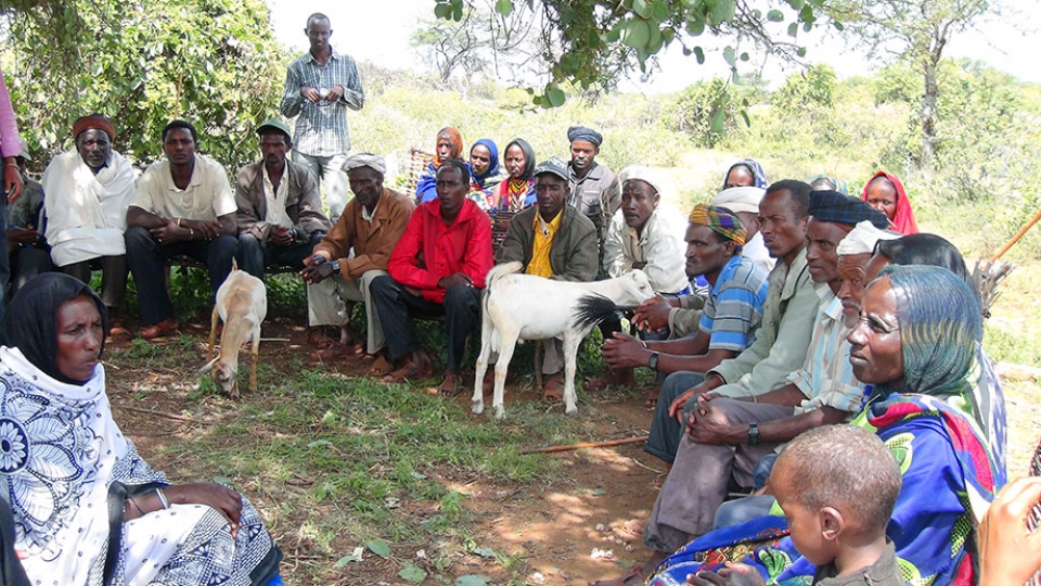FAO Writeshop: “Empowering small-scale livestock producers through the Farmer Field School (FFS) approach”