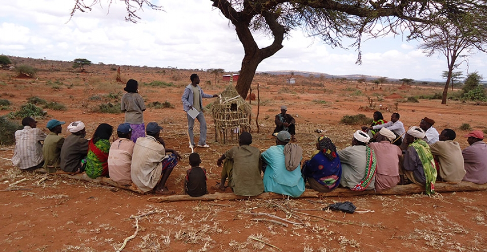 Seminar - Improving the livelihoods of small-scale livestock producers through the FFS approach