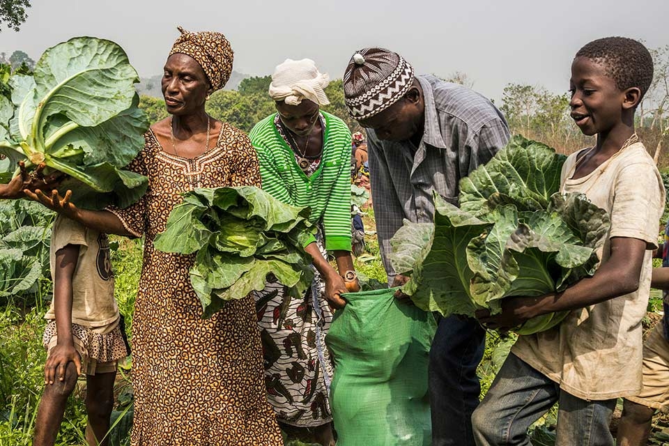 Leveraging human rights to improve the life of family farmers