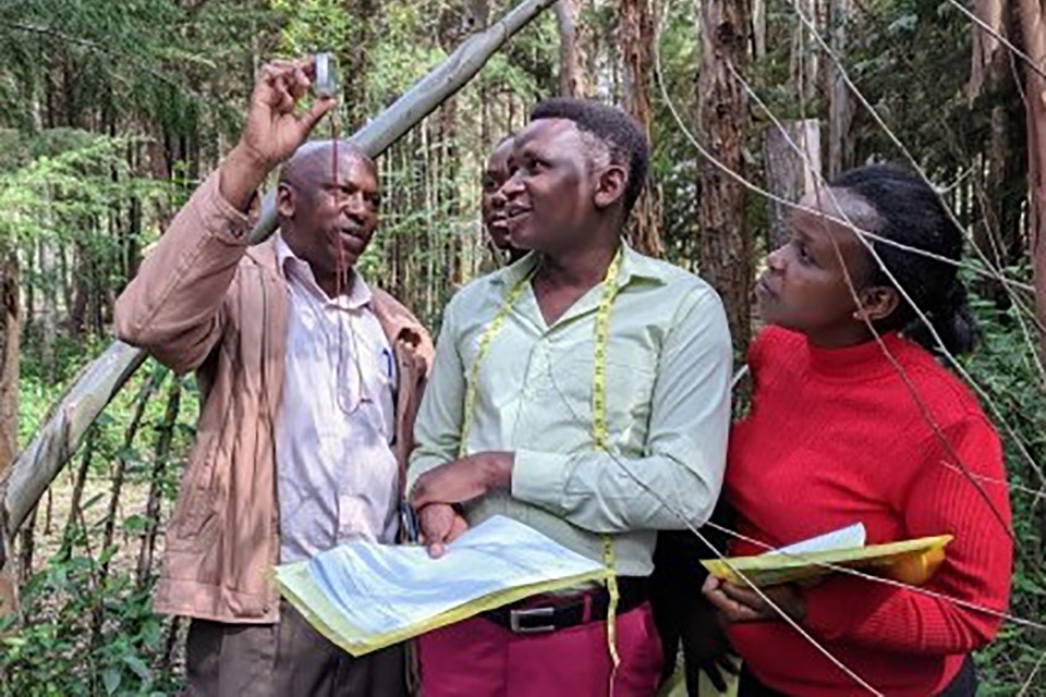 Charting a “path to recovery and wellbeing” on 2021’s International Day of Forests