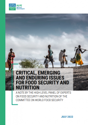 Critical, emerging and enduring issues for food security and nutrition