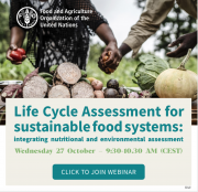 Webinar Recording - Life Cycle Assessment for sustainable food systems: integrating nutritional and environmental assessment (27 October 2021)