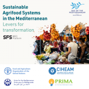 A digital journey into Mediterranean agrifood systems