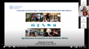 Webinar Recording: Agribusiness Incubation in Sub-Saharan Africa (French)