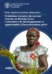 Évolutions récentes du secteur rizicole au Burkina Faso