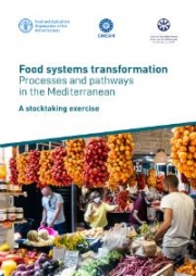 Food systems transformation – Processes and pathways in the Mediterranean