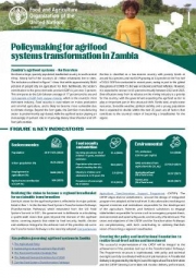 Policymaking for agrifood systems transformation in Zambia