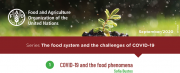 FAO Boletín N.1 - Serie: Sistema alimentario y los desafíos que trae el COVID-19