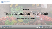 Webinar Recording: True Cost Accounting of Food
