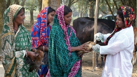 Women vaccinators: driving changes in rural Bangladesh