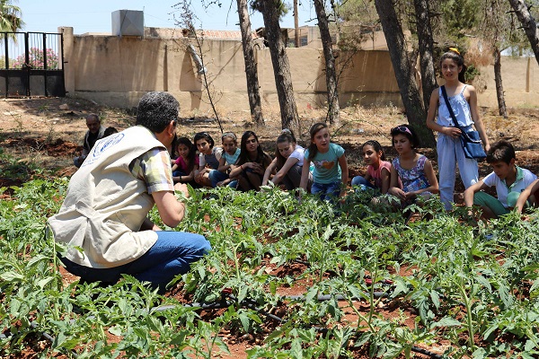 The Syrian schools with edible playgrounds 2